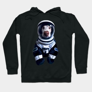 Astraminals Dognaut Hoodie